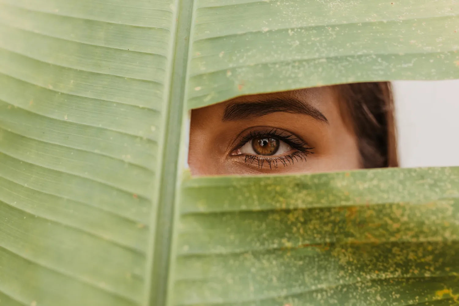 Natural ways to boost the growth of eyelashes and eyebrows